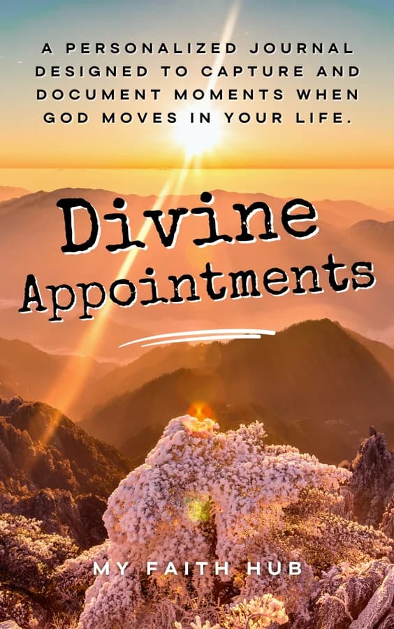 Divine Appointments Journal cover